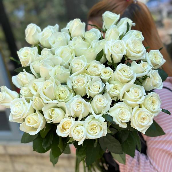 Розы "Аваланж"